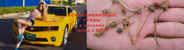 хмурый Балабаново