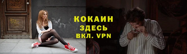 прущая мука Арсеньев