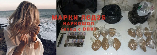 apvp Аркадак